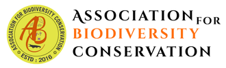 ABC Logo